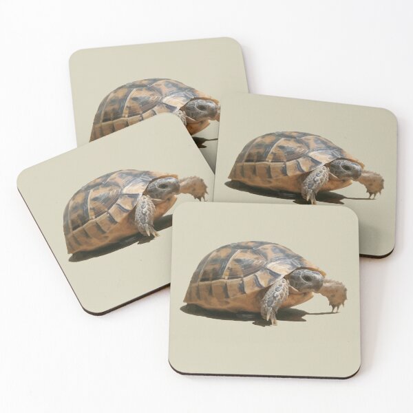 Item preview, Portrait of a Young Wild Tortoise Isolated designed and sold by taiche.