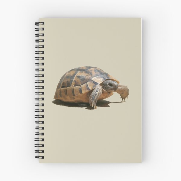Item preview, Portrait of a Young Wild Tortoise Isolated designed and sold by taiche.