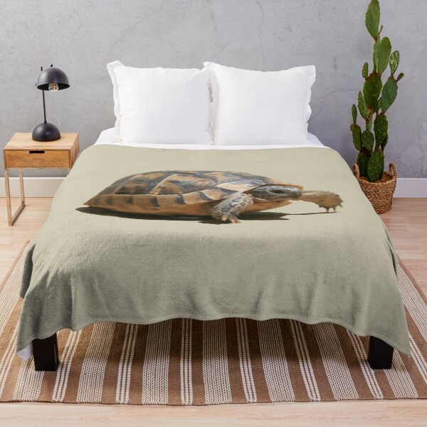 Item preview, Portrait of a Young Wild Tortoise Isolated designed and sold by taiche.