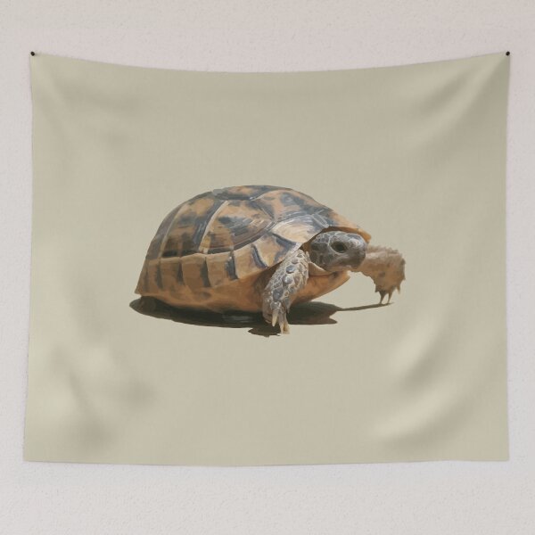 Item preview, Portrait of a Young Wild Tortoise Isolated designed and sold by taiche.