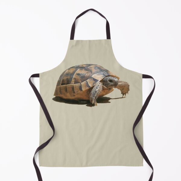 Item preview, Portrait of a Young Wild Tortoise Isolated designed and sold by taiche.
