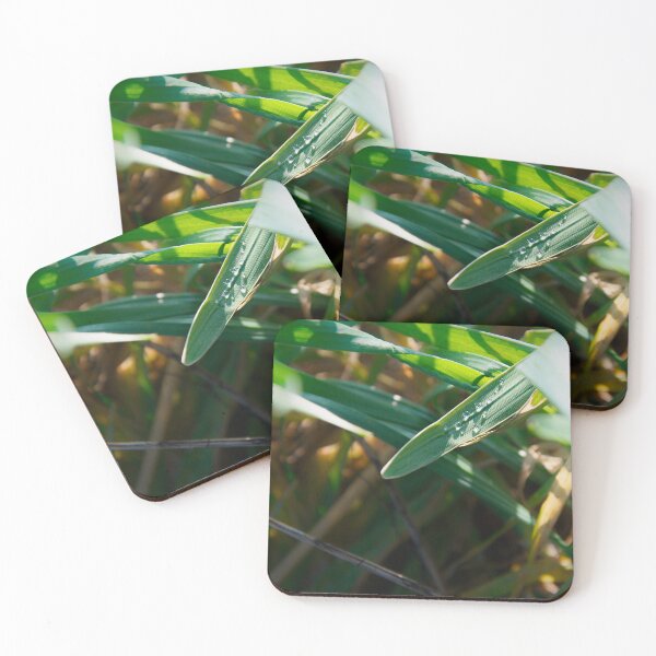Item preview, Sunlit Dewdrops on Diagonal Green Grass Blade designed and sold by ShotsbyDesiree.