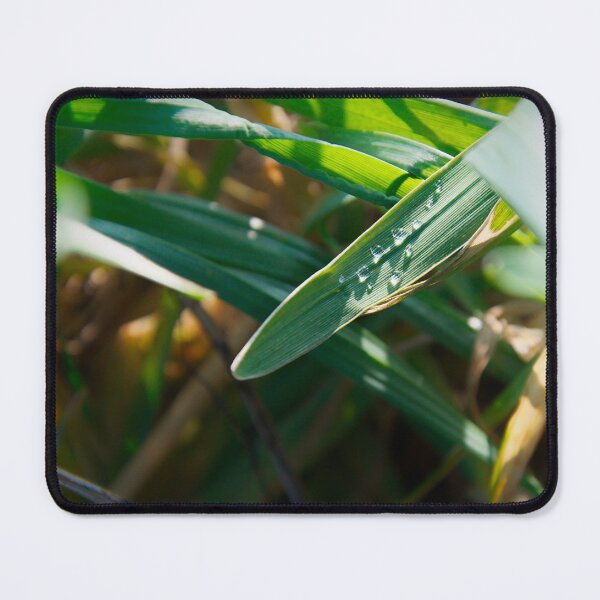 Item preview, Sunlit Dewdrops on Diagonal Green Grass Blade designed and sold by ShotsbyDesiree.