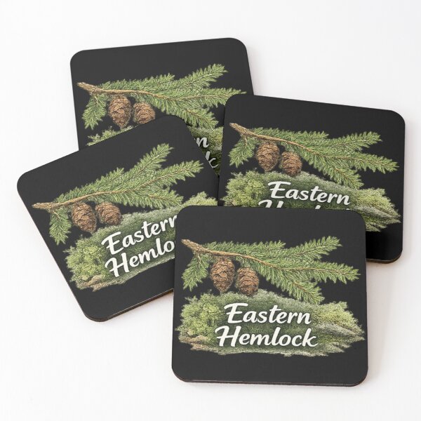 Item preview, Eastern Hemlock - tsuga canadensis designed and sold by DamioPolArt.