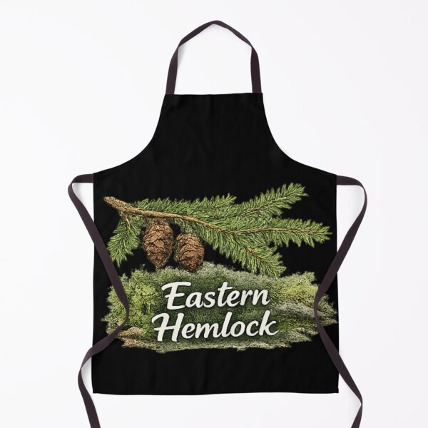 Item preview, Eastern Hemlock - tsuga canadensis designed and sold by DamioPolArt.