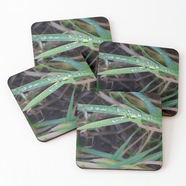 Item preview, Intersecting Grass Blades With Glistening Dewdrops designed and sold by ShotsbyDesiree.
