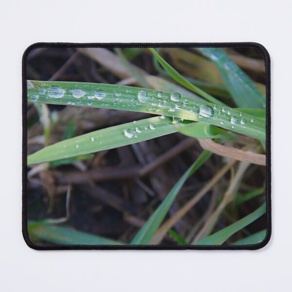 Item preview, Intersecting Grass Blades With Glistening Dewdrops designed and sold by ShotsbyDesiree.