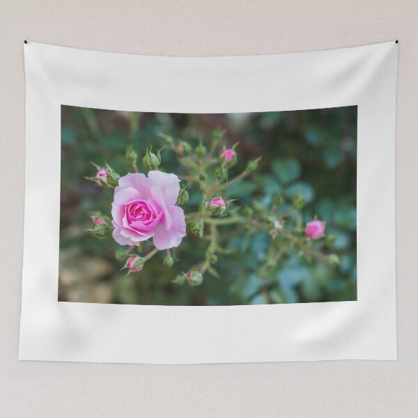 Item preview, Pink rose designed and sold by XaviFotografia.