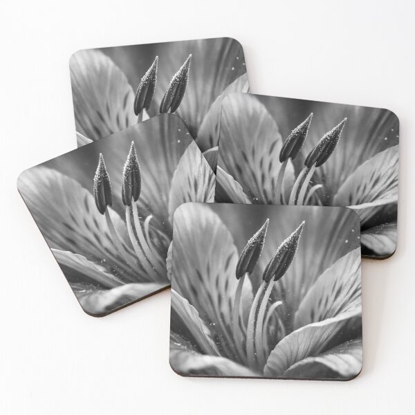 Item preview, Silent Blossom in Focus designed and sold by Sigtrix.