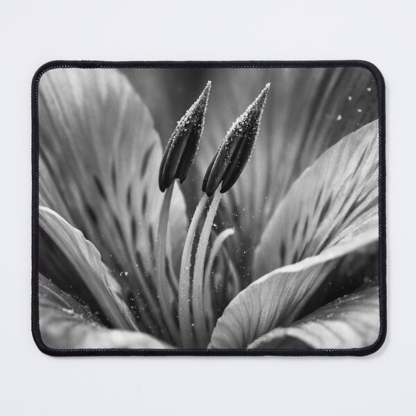 Item preview, Silent Blossom in Focus designed and sold by Sigtrix.