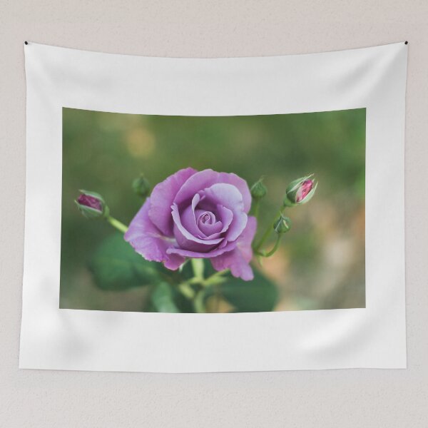Item preview, Violet rose designed and sold by XaviFotografia.