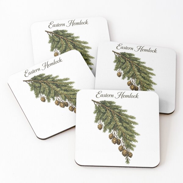 Item preview, Eastern Hemlock and botanical illustration designed and sold by DamioPolArt.
