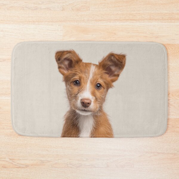 Item preview, Adorable Portuguese Podengo Pequeno puppy for Cute Pequeno puppy lovers designed and sold by LazyOwlStore.