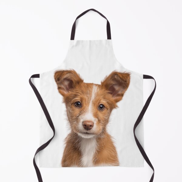 Item preview, Adorable Portuguese Podengo Pequeno puppy for Cute Pequeno puppy lovers designed and sold by LazyOwlStore.