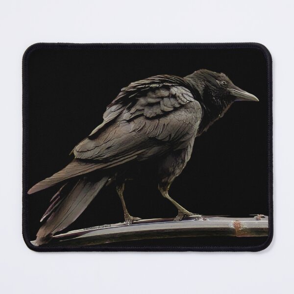 Item preview,  Feathered Philosophers, Vol.  II: The Archvist  designed and sold by Elements of SPAC3 .