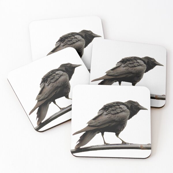 Item preview,  Feathered Philosophers, Vol.  II: The Archvist  designed and sold by Elements of SPAC3 .