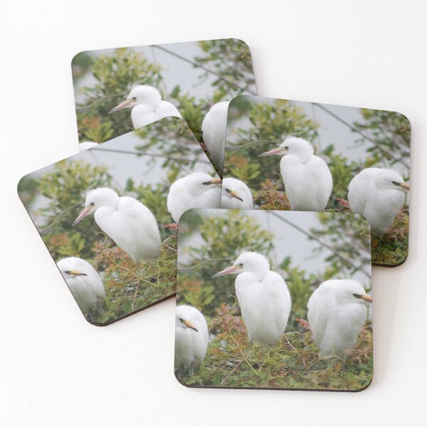 Item preview, Three White Egrets in Foliage designed and sold by Cynthia48.