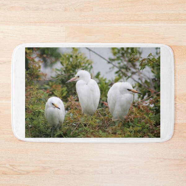 Item preview, Three White Egrets in Foliage designed and sold by Cynthia48.