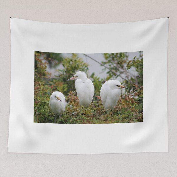 Item preview, Three White Egrets in Foliage designed and sold by Cynthia48.