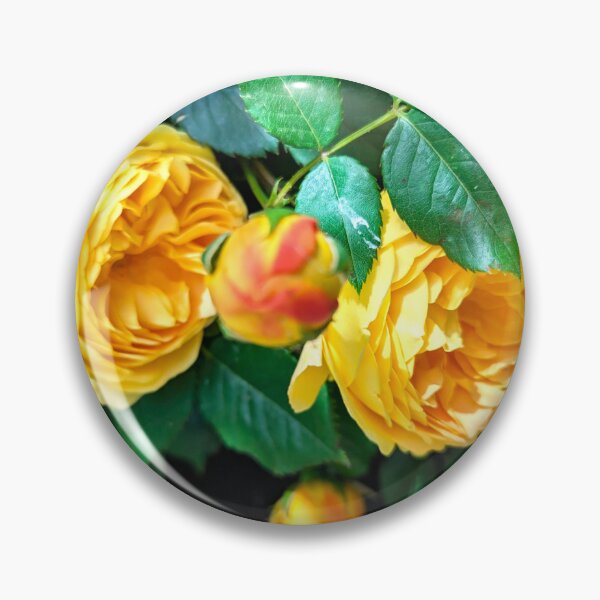 Item preview, Two yellow rose designed and sold by Ana Belaj.