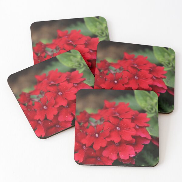 Item preview, Red Verbena Flower Cluster | Vibrant Botanical Photography designed and sold by Cha-s-lens.