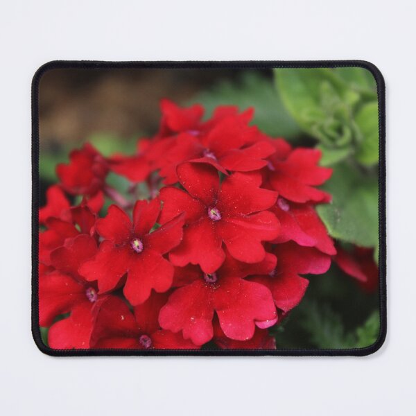 Item preview, Red Verbena Flower Cluster | Vibrant Botanical Photography designed and sold by Cha-s-lens.