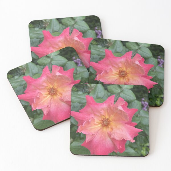 Item preview, Coral Pink Rose in Bloom designed and sold by SolaraNature.