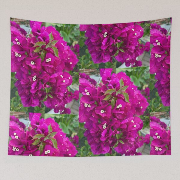 Item preview, Vibrant Magenta Bougainvillea Vine Garden Photography designed and sold by BalkanBloom.