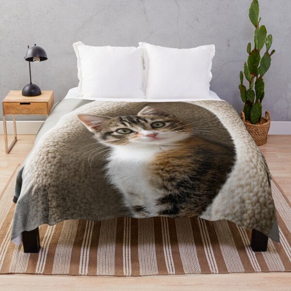 Item preview, Sweet Kitten with Curious Look designed and sold by Kimberly Palmer.
