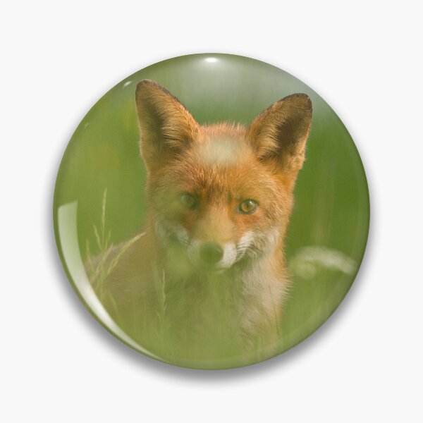 Item preview, Fox Cub hiding in long grass designed and sold by Scott-Tilley Photography.