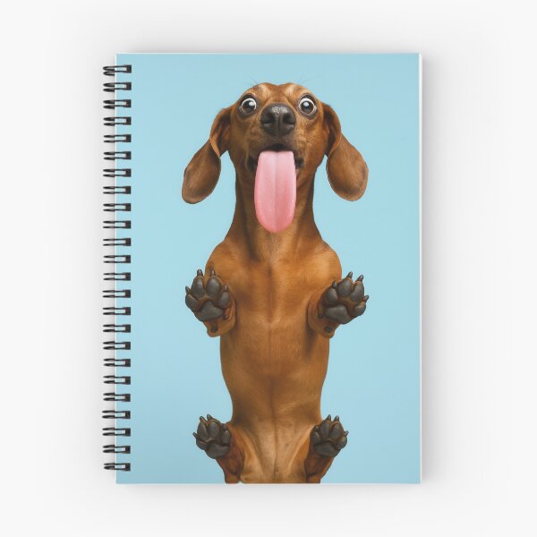 Item preview,  Playful Dachshund Funny Dog Tongue Portrait designed and sold by Flying Doggo.
