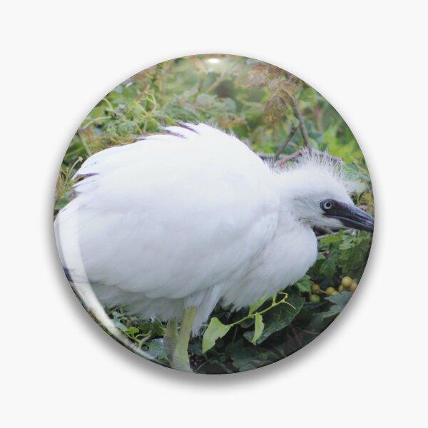 Item preview, Cute Little Egret designed and sold by Cynthia48.