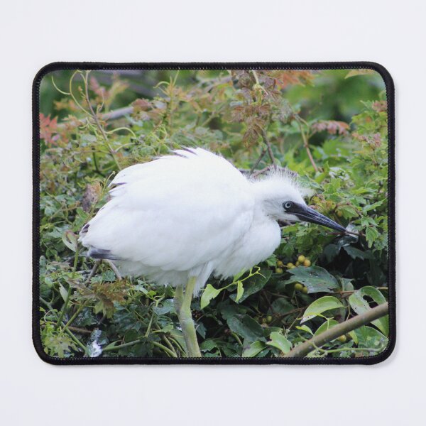 Item preview, Cute Little Egret designed and sold by Cynthia48.