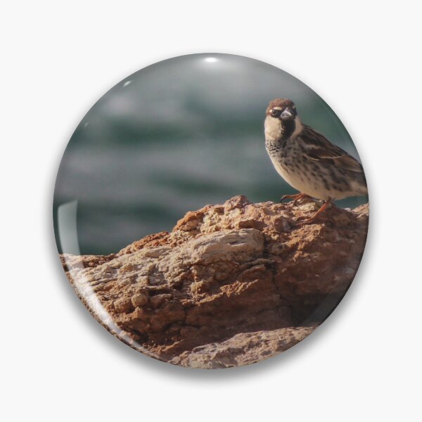Item preview, Sparrow Perched On Rocky Coastal Cliff Overlooking Sea In Warm Golden Light designed and sold by Nmallia.
