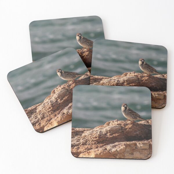 Item preview, Sparrow Perched On Rocky Coastal Cliff Overlooking Sea In Warm Golden Light designed and sold by Nmallia.