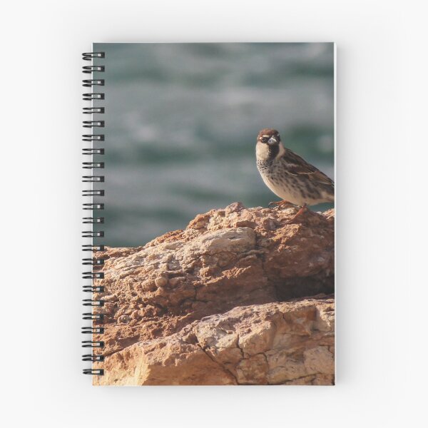 Item preview, Sparrow Perched On Rocky Coastal Cliff Overlooking Sea In Warm Golden Light designed and sold by Nmallia.
