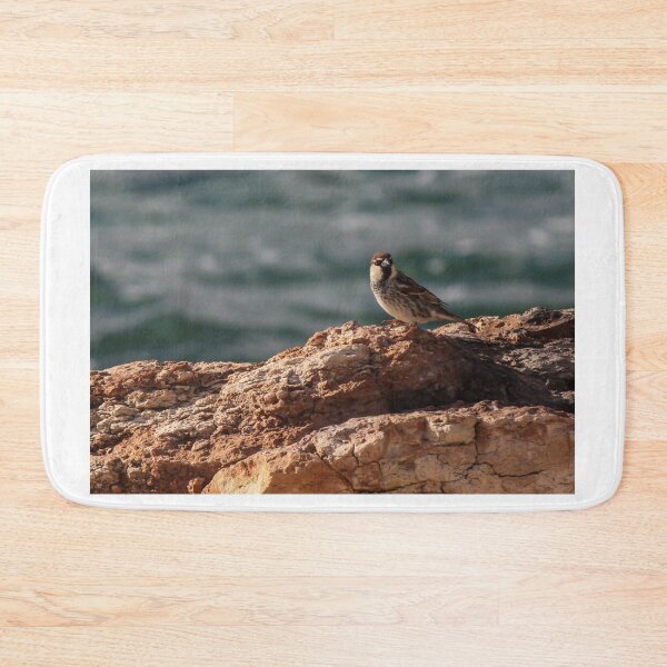Item preview, Sparrow Perched On Rocky Coastal Cliff Overlooking Sea In Warm Golden Light designed and sold by Nmallia.