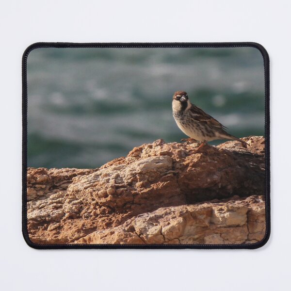 Item preview, Sparrow Perched On Rocky Coastal Cliff Overlooking Sea In Warm Golden Light designed and sold by Nmallia.