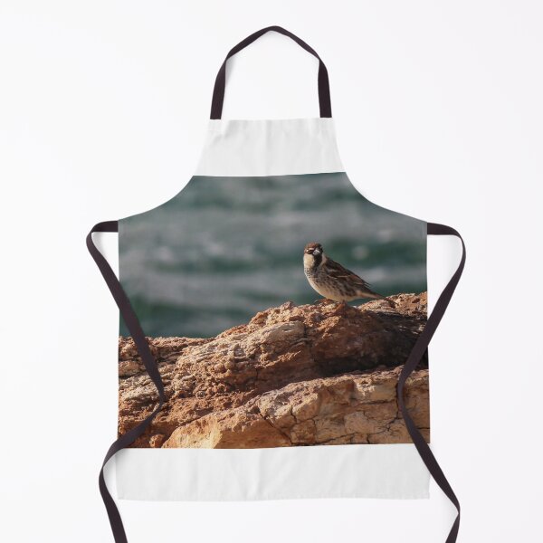 Item preview, Sparrow Perched On Rocky Coastal Cliff Overlooking Sea In Warm Golden Light designed and sold by Nmallia.