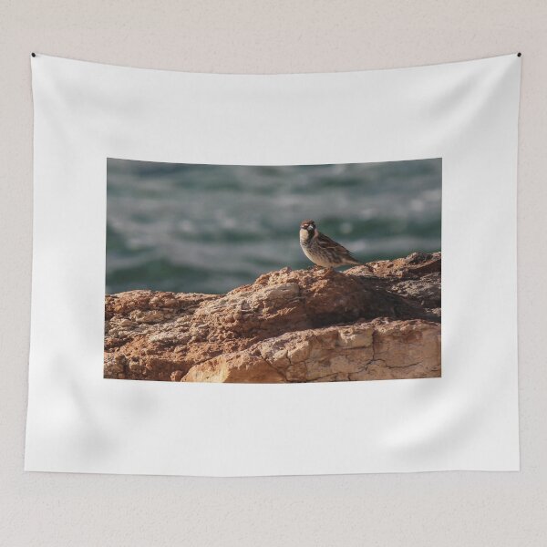 Item preview, Sparrow Perched On Rocky Coastal Cliff Overlooking Sea In Warm Golden Light designed and sold by Nmallia.