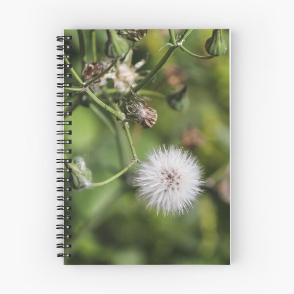 Item preview, Macro Dandelion Seed Head Puff On Green Stem With Soft Bokeh Background designed and sold by Nmallia.