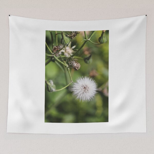 Item preview, Macro Dandelion Seed Head Puff On Green Stem With Soft Bokeh Background designed and sold by Nmallia.
