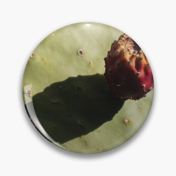 Item preview, Prickly Pear Cactus With Single Fruit Casting Shadow on Sunlit Green Pad designed and sold by Nmallia.