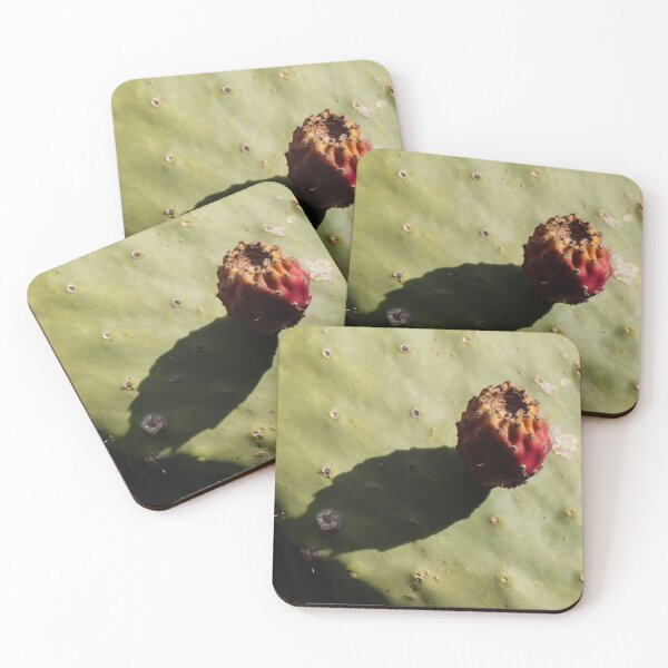 Item preview, Prickly Pear Cactus With Single Fruit Casting Shadow on Sunlit Green Pad designed and sold by Nmallia.