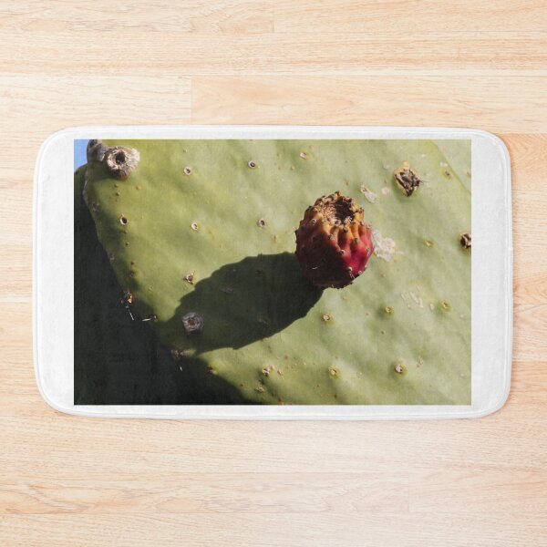 Item preview, Prickly Pear Cactus With Single Fruit Casting Shadow on Sunlit Green Pad designed and sold by Nmallia.