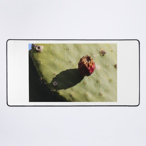 Item preview, Prickly Pear Cactus With Single Fruit Casting Shadow on Sunlit Green Pad designed and sold by Nmallia.