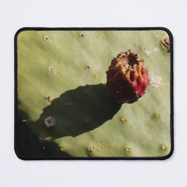 Item preview, Prickly Pear Cactus With Single Fruit Casting Shadow on Sunlit Green Pad designed and sold by Nmallia.