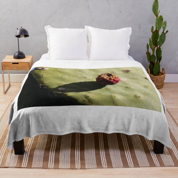 Item preview, Prickly Pear Cactus With Single Fruit Casting Shadow on Sunlit Green Pad designed and sold by Nmallia.