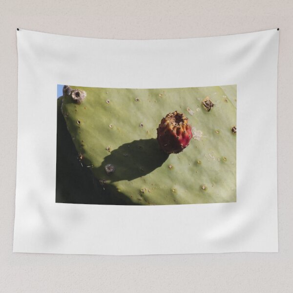 Item preview, Prickly Pear Cactus With Single Fruit Casting Shadow on Sunlit Green Pad designed and sold by Nmallia.