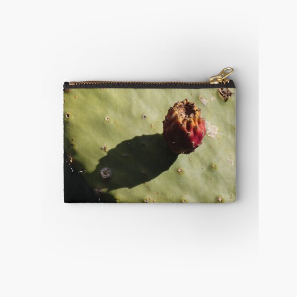 Item preview, Prickly Pear Cactus With Single Fruit Casting Shadow on Sunlit Green Pad designed and sold by Nmallia.